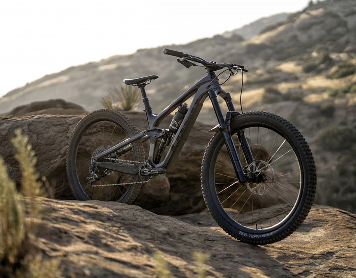 Bike Rentals